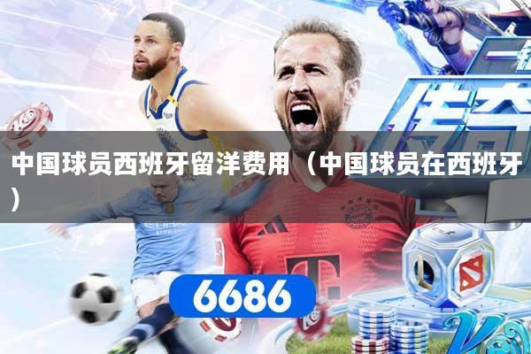 中国球员西班牙留洋费用（中国球员在西班牙）